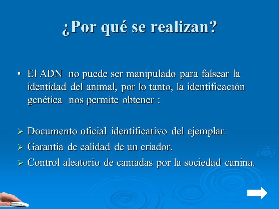 ¿Por qué se realizan