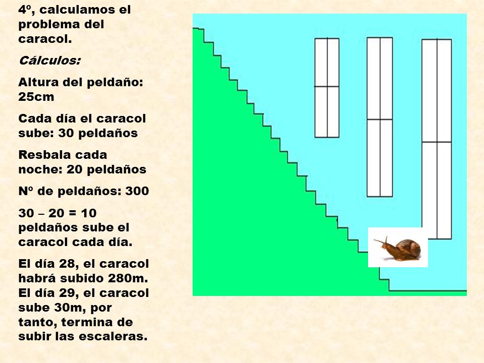 4º, calculamos el problema del caracol.