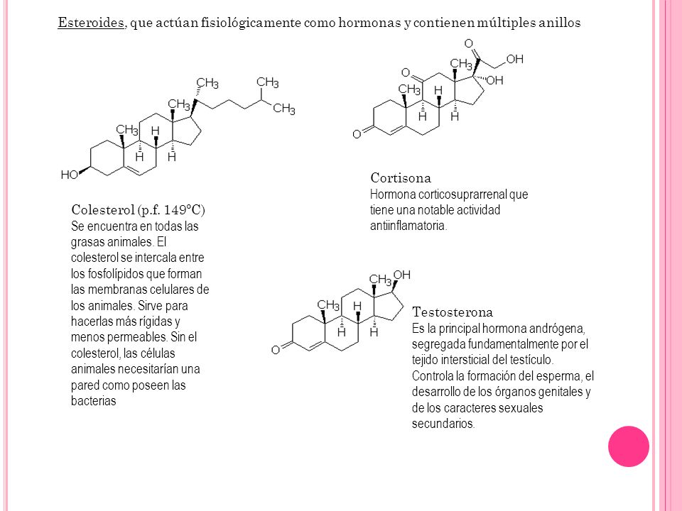 Esteroides, que actúan fisiológicamente como hormonas y contienen múltiples anillos