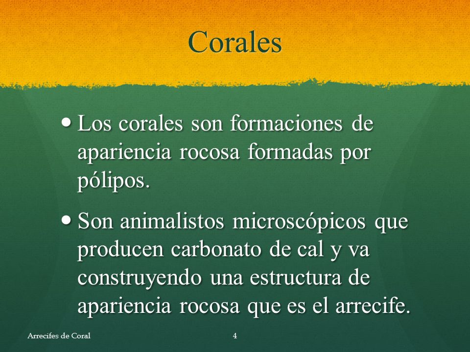 Corales Los corales son formaciones de apariencia rocosa formadas por pólipos.