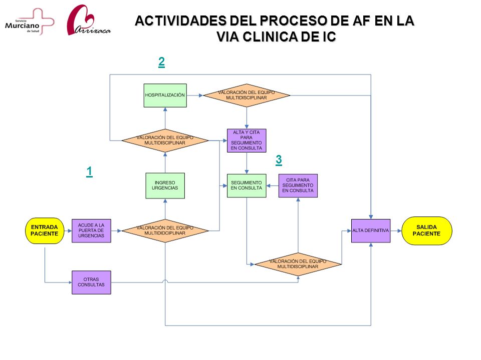 ACTIVIDADES DEL PROCESO DE AF EN LA VIA CLINICA DE IC