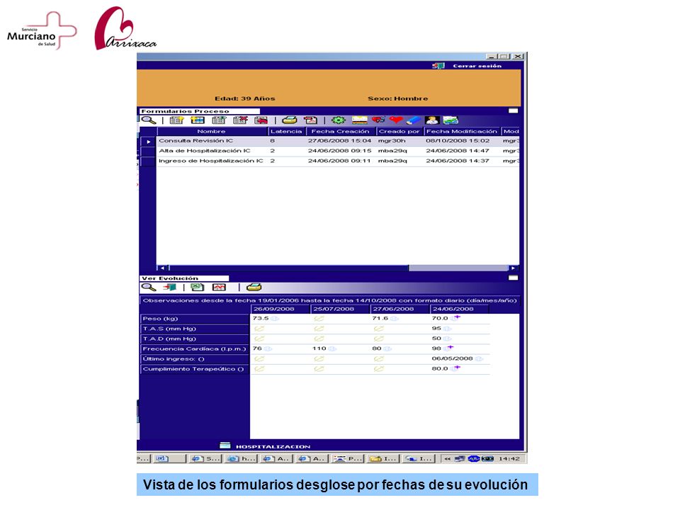 Vista de los formularios desglose por fechas de su evolución