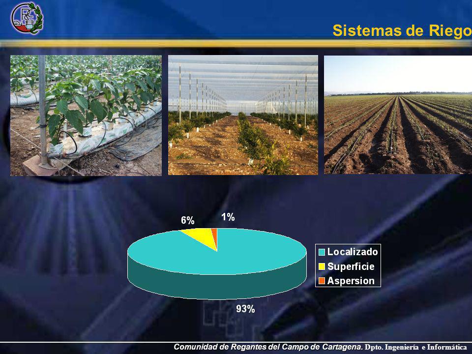 VOLUMENES DISTRIBUIDOS POR LA COMUNIDAD DE REGANTES (Enero - Diciembre)