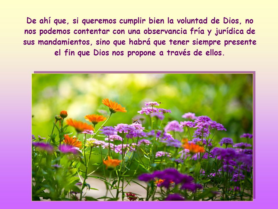 De ahí que, si queremos cumplir bien la voluntad de Dios, no nos podemos contentar con una observancia fría y jurídica de sus mandamientos, sino que habrá que tener siempre presente el fin que Dios nos propone a través de ellos.