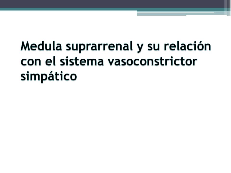 Medula suprarrenal y su relación con el sistema vasoconstrictor simpático