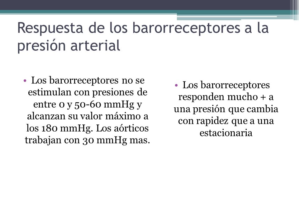 Respuesta de los barorreceptores a la presión arterial