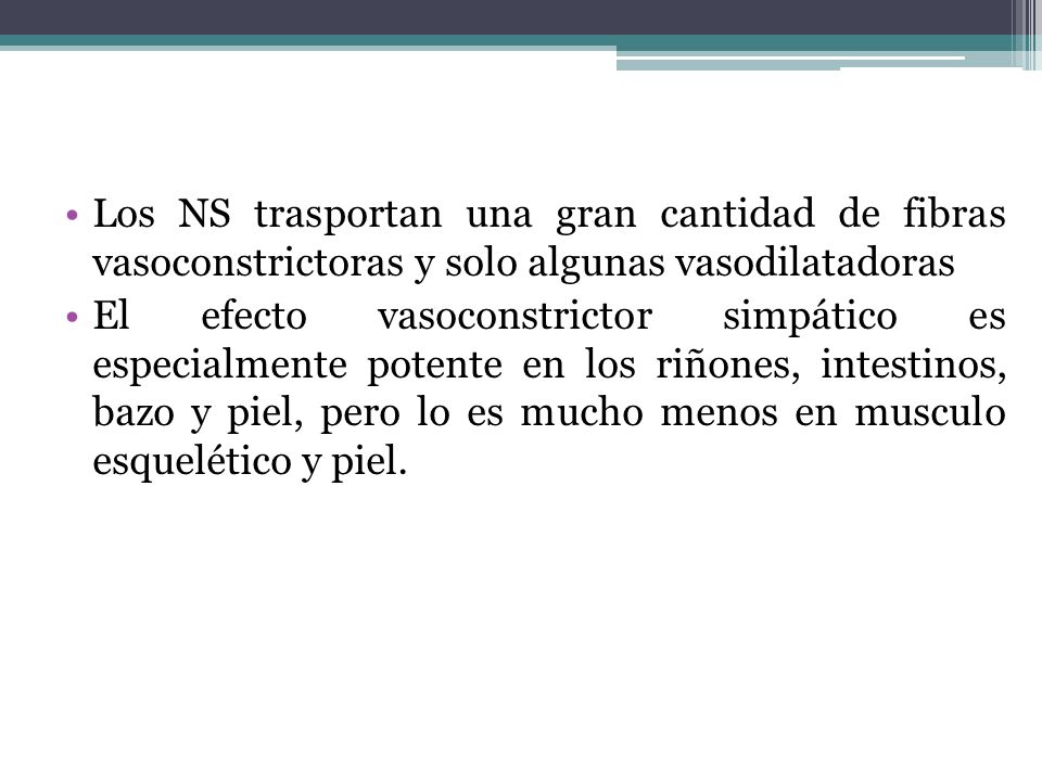 Los NS trasportan una gran cantidad de fibras vasoconstrictoras y solo algunas vasodilatadoras