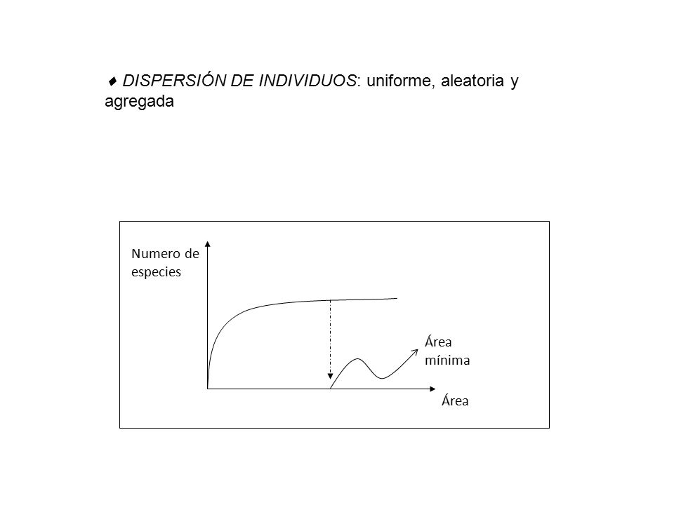  DISPERSIÓN DE INDIVIDUOS: uniforme, aleatoria y agregada