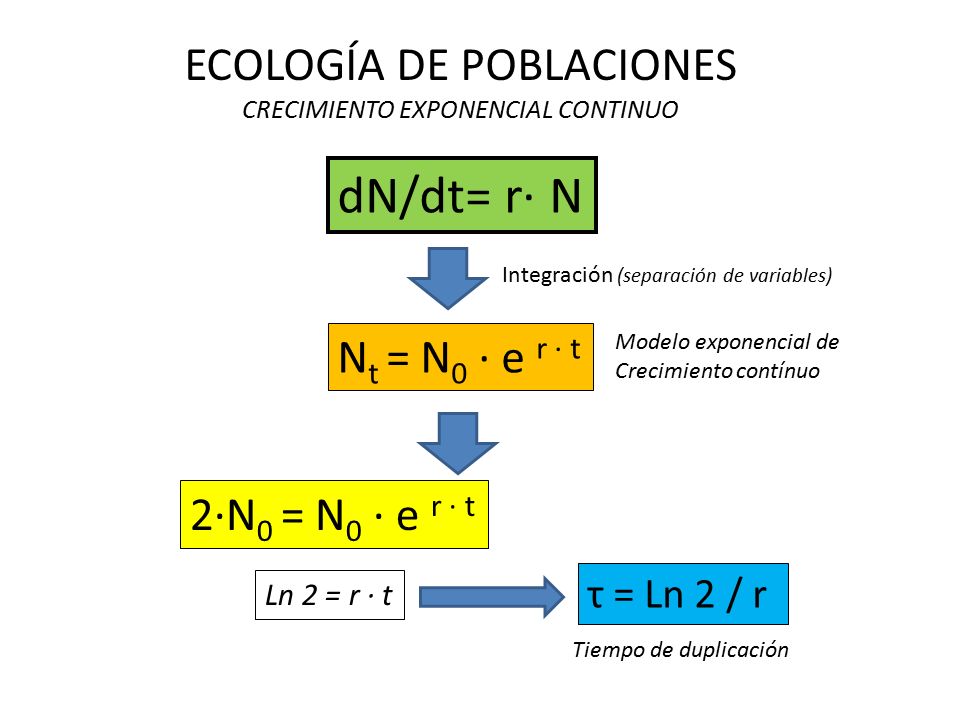 dN/dt= r· N ECOLOGÍA DE POBLACIONES Nt = N0 · e r · t