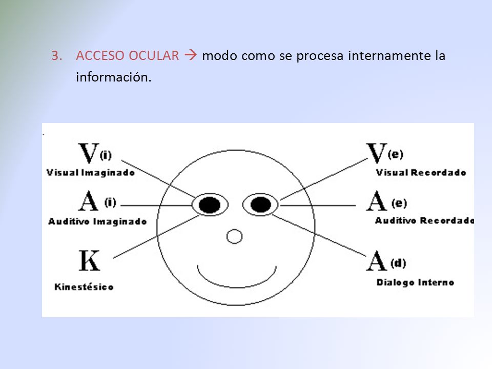 ACCESO OCULAR  modo como se procesa internamente la información.
