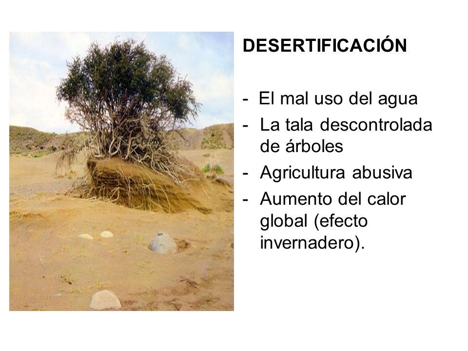 DESERTIFICACIÓN - El mal uso del agua. La tala descontrolada de árboles.