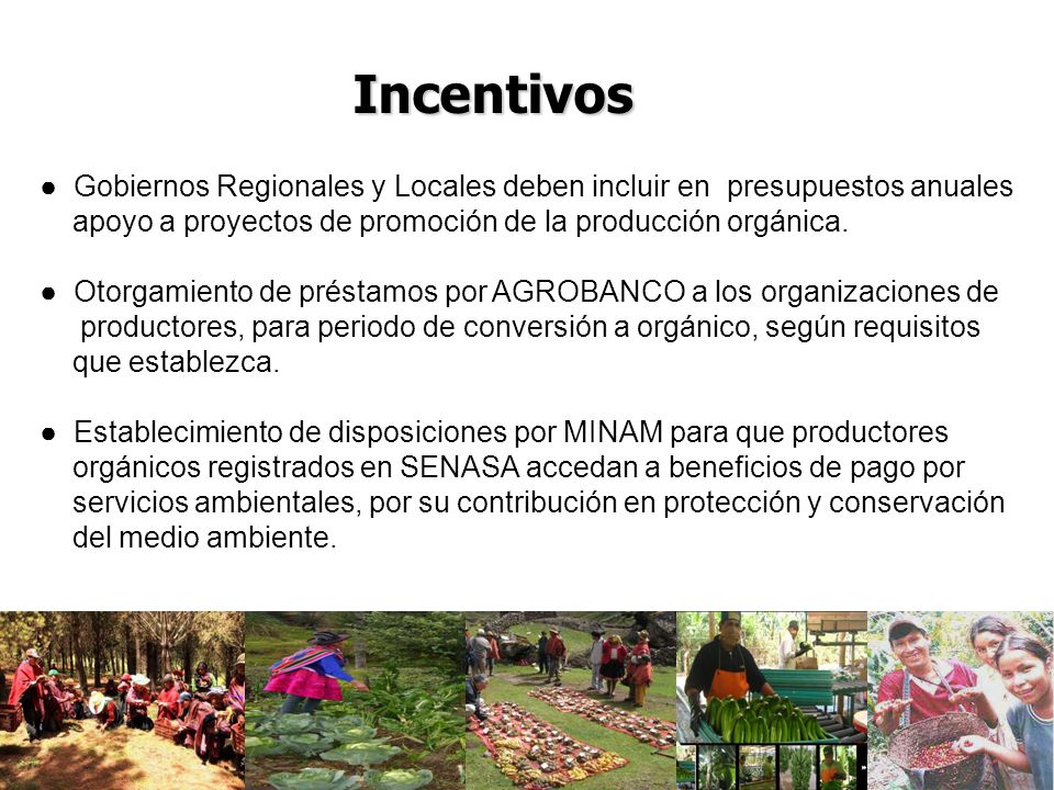 Incentivos Gobiernos Regionales y Locales deben incluir en presupuestos anuales. apoyo a proyectos de promoción de la producción orgánica.