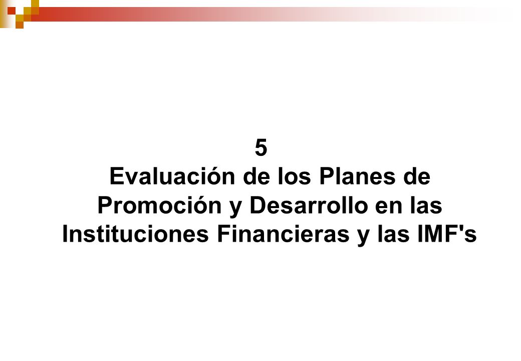 5 Evaluación de los Planes de Promoción y Desarrollo en las Instituciones Financieras y las IMF s