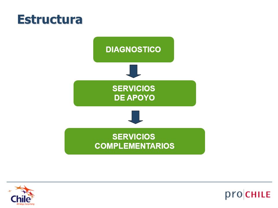 Estructura DIAGNOSTICO SERVICIOS DE APOYO SERVICIOS COMPLEMENTARIOS