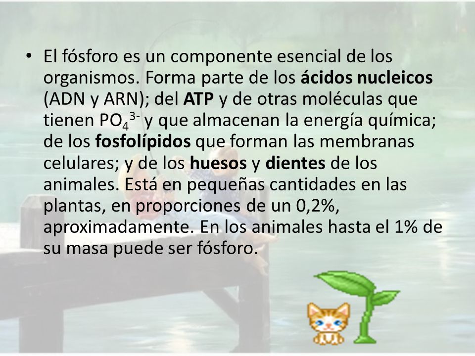 El fósforo es un componente esencial de los organismos