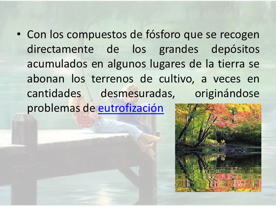 Con los compuestos de fósforo que se recogen directamente de los grandes depósitos acumulados en algunos lugares de la tierra se abonan los terrenos de cultivo, a veces en cantidades desmesuradas, originándose problemas de eutrofización