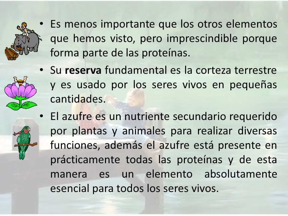Es menos importante que los otros elementos que hemos visto, pero imprescindible porque forma parte de las proteínas.