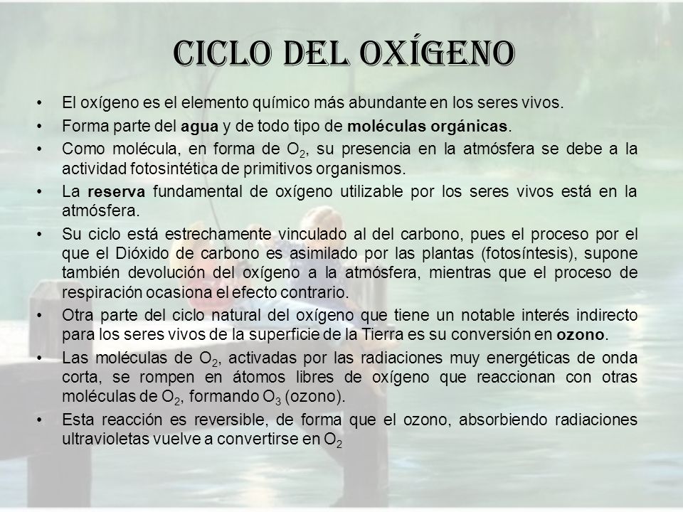CICLO DEL OXÍGENO El oxígeno es el elemento químico más abundante en los seres vivos. Forma parte del agua y de todo tipo de moléculas orgánicas.