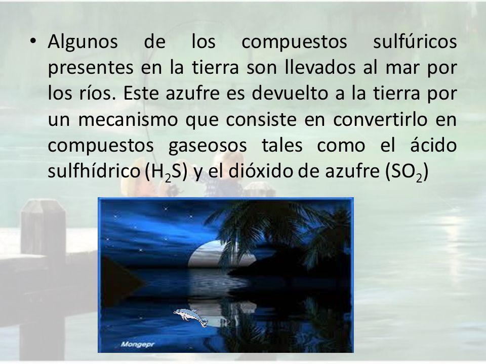 Algunos de los compuestos sulfúricos presentes en la tierra son llevados al mar por los ríos.