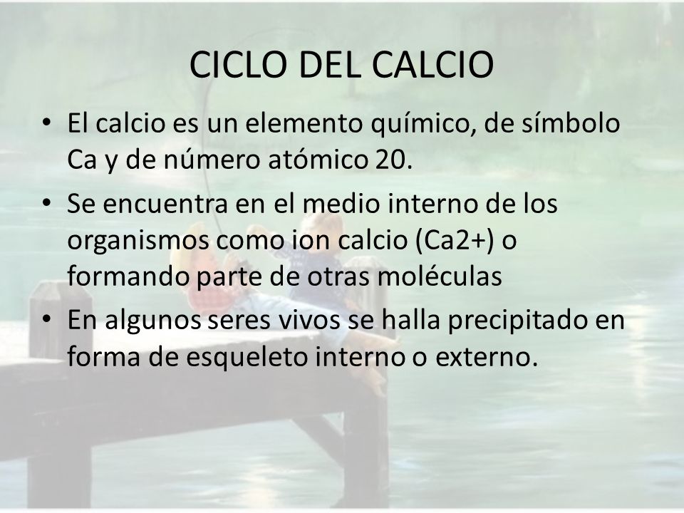 CICLO DEL CALCIO El calcio es un elemento químico, de símbolo Ca y de número atómico 20.