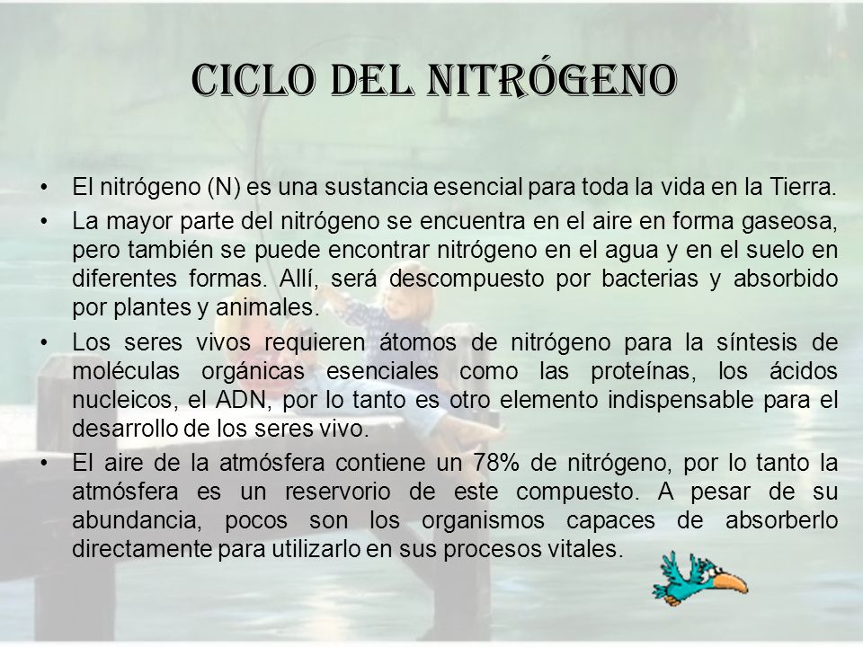 CICLO DEL NITRÓGENO El nitrógeno (N) es una sustancia esencial para toda la vida en la Tierra.