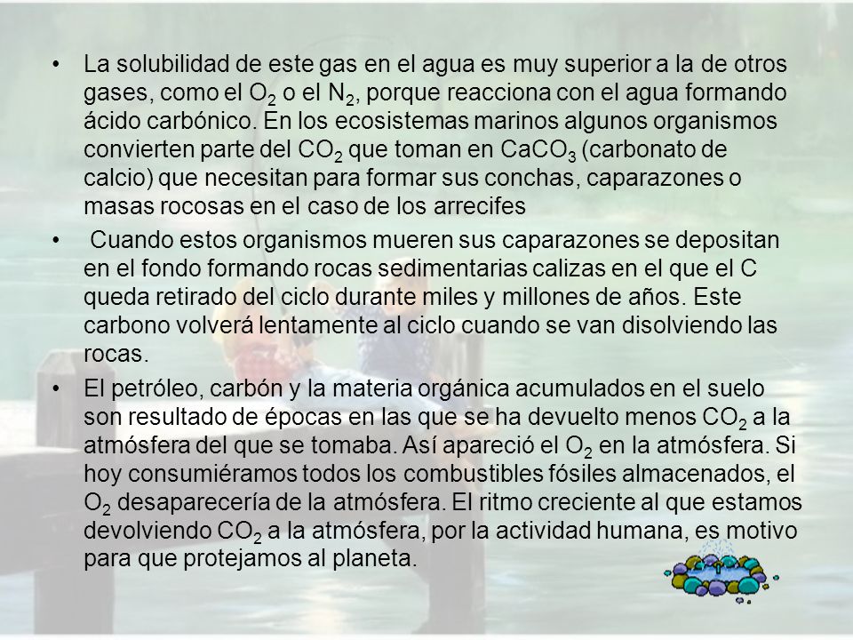 La solubilidad de este gas en el agua es muy superior a la de otros gases, como el O2 o el N2, porque reacciona con el agua formando ácido carbónico. En los ecosistemas marinos algunos organismos convierten parte del CO2 que toman en CaCO3 (carbonato de calcio) que necesitan para formar sus conchas, caparazones o masas rocosas en el caso de los arrecifes