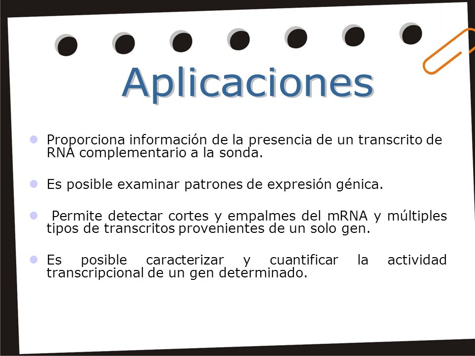 Aplicaciones Proporciona información de la presencia de un transcrito de RNA complementario a la sonda.