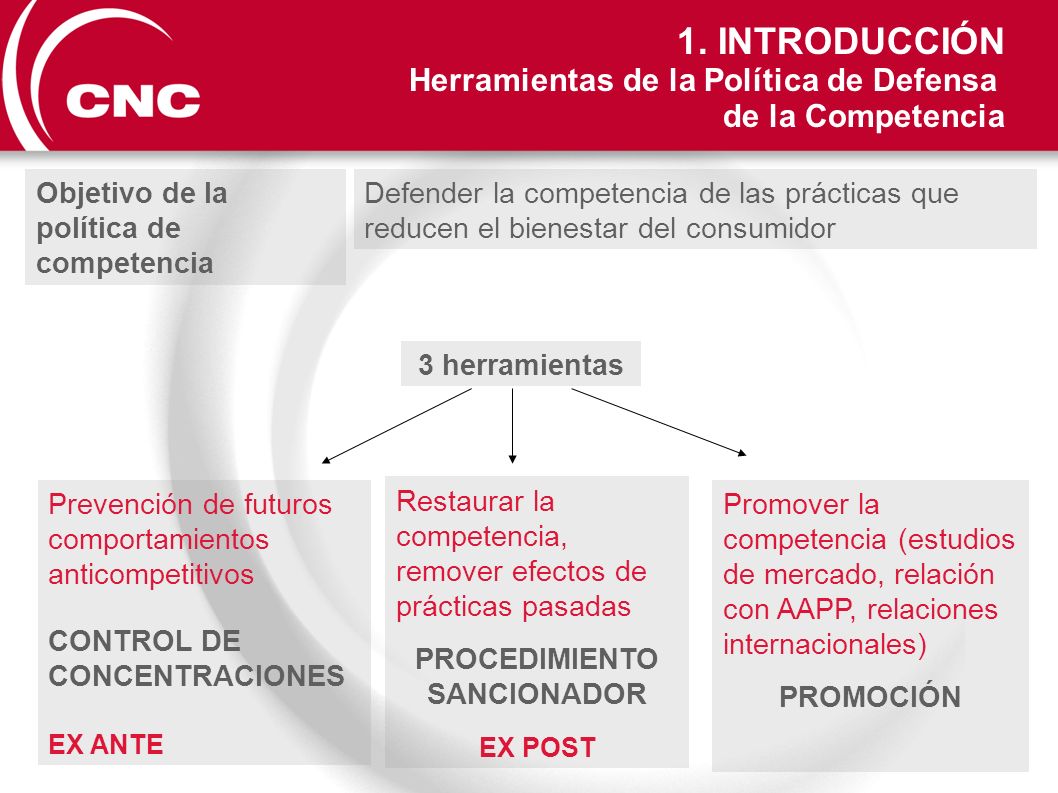 PROCEDIMIENTO SANCIONADOR