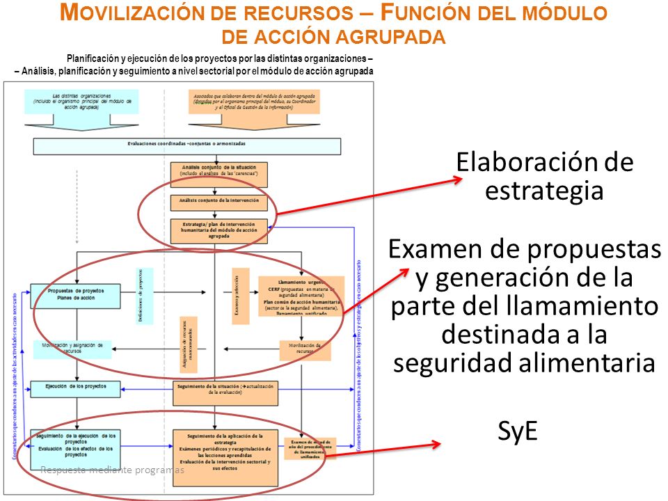 Movilización de recursos – Función del módulo de acción agrupada