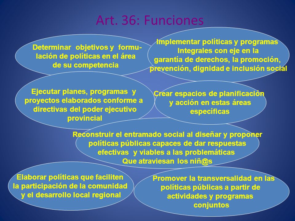 Art. 36: Funciones Implementar políticas y programas
