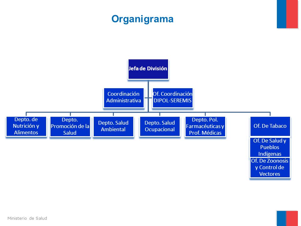 Organigrama Jefa de División Of. De Tabaco