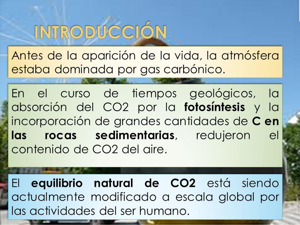 INTRODUCCIÓN Antes de la aparición de la vida, la atmósfera estaba dominada por gas carbónico.