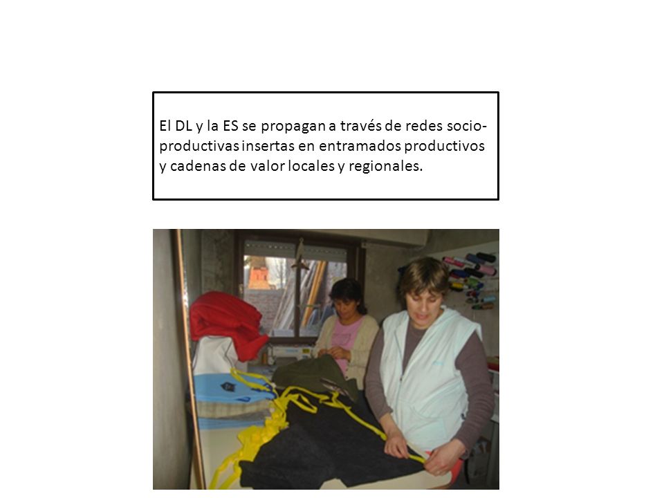 El DL y la ES se propagan a través de redes socio-productivas insertas en entramados productivos y cadenas de valor locales y regionales.