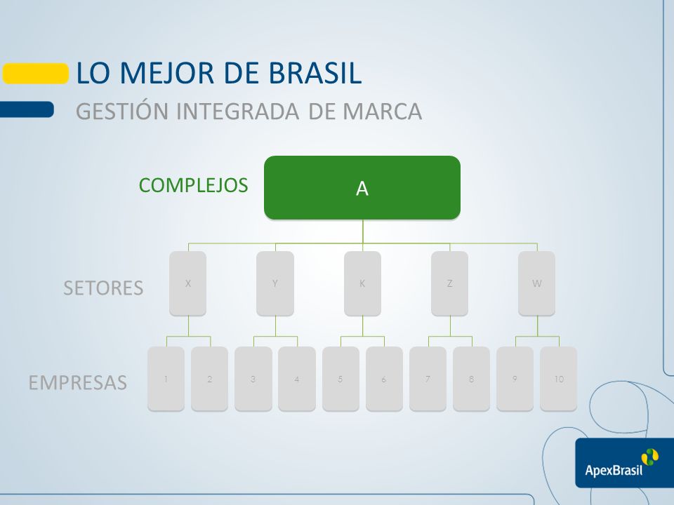 LO MEJOR DE BRASIL GESTIÓN INTEGRADA DE MARCA A COMPLEJOS SETORES