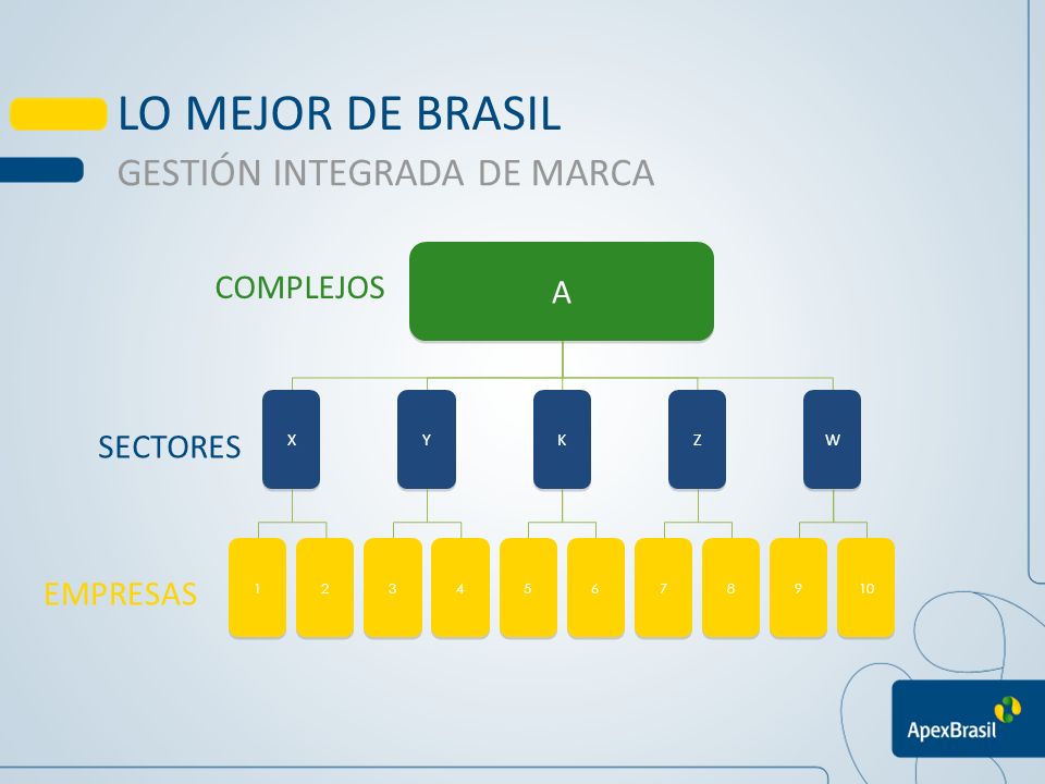 LO MEJOR DE BRASIL GESTIÓN INTEGRADA DE MARCA A COMPLEJOS SECTORES