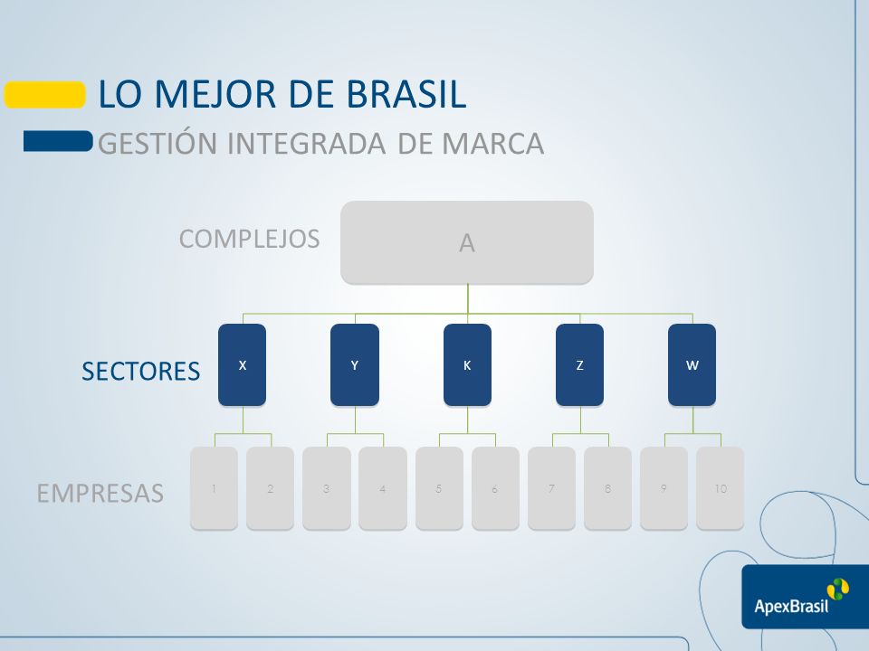 LO MEJOR DE BRASIL GESTIÓN INTEGRADA DE MARCA A COMPLEJOS SECTORES
