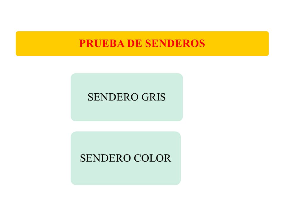 PRUEBA DE SENDEROS SENDERO GRIS SENDERO COLOR