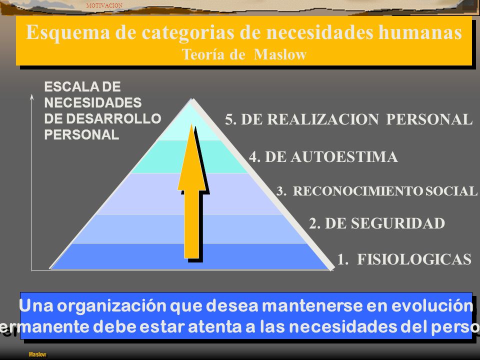 Esquema de categorias de necesidades humanas