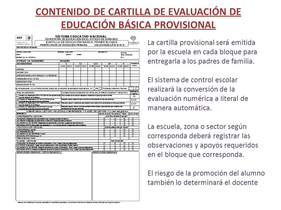 CONTENIDO DE CARTILLA DE EVALUACIÓN DE EDUCACIÓN BÁSICA PROVISIONAL
