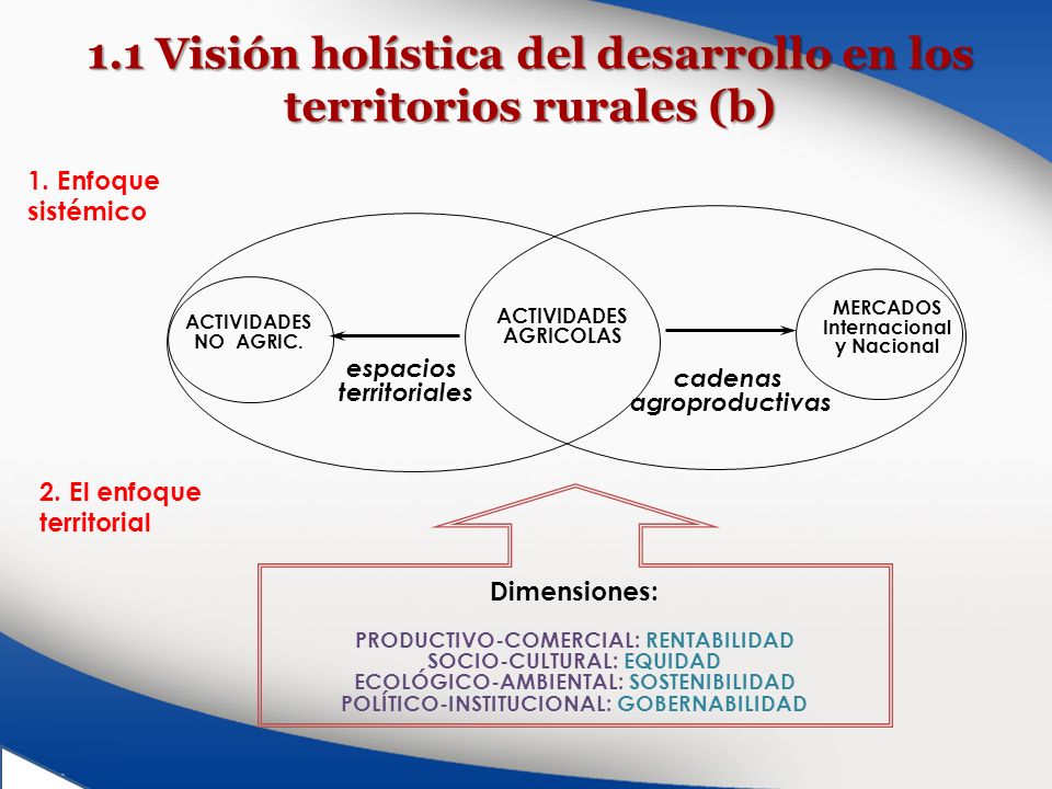 1.1 Visión holística del desarrollo en los territorios rurales (b)