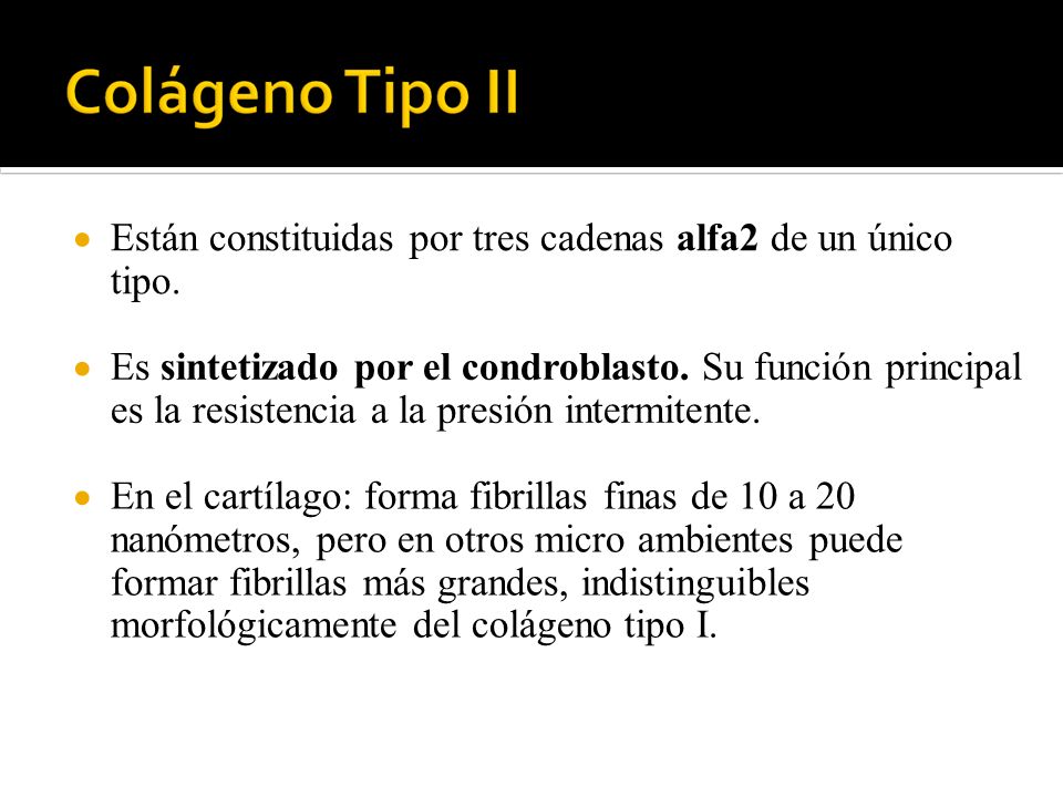  Están constituidas por tres cadenas alfa2 de un único. tipo.  Es sintetizado por el condroblasto. Su función principal.