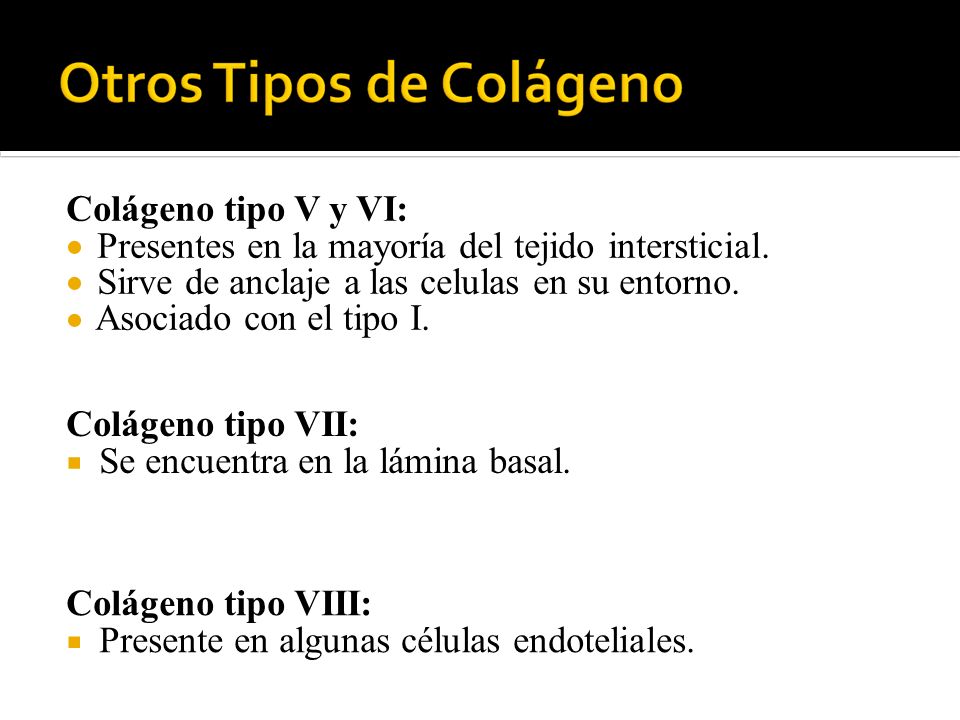 Colágeno tipo V y VI: Colágeno tipo VII: Colágeno tipo VIII:
