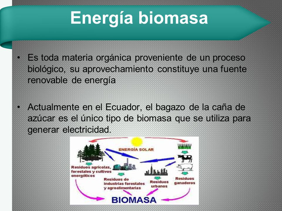 Energía biomasa Es toda materia orgánica proveniente de un proceso biológico, su aprovechamiento constituye una fuente renovable de energía.