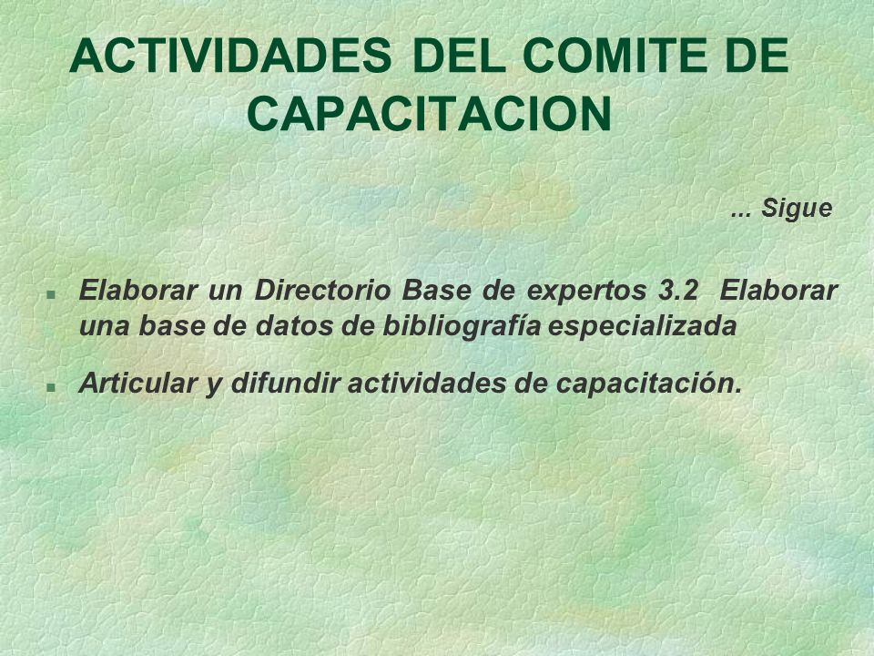 ACTIVIDADES DEL COMITE DE CAPACITACION