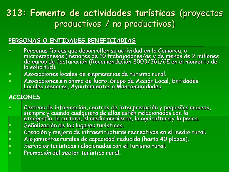 313: Fomento de actividades turísticas (proyectos productivos / no productivos)