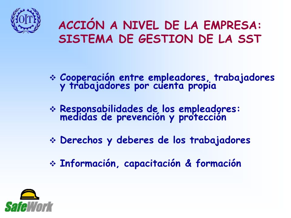 ACCIÓN A NIVEL DE LA EMPRESA: SISTEMA DE GESTION DE LA SST