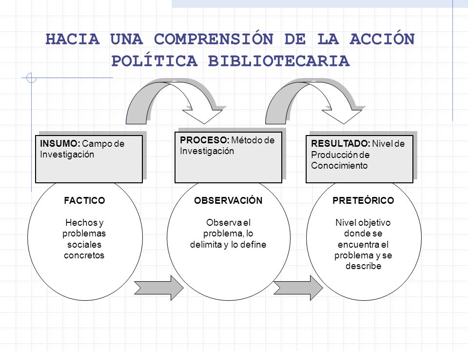 HACIA UNA COMPRENSIÓN DE LA ACCIÓN POLÍTICA BIBLIOTECARIA