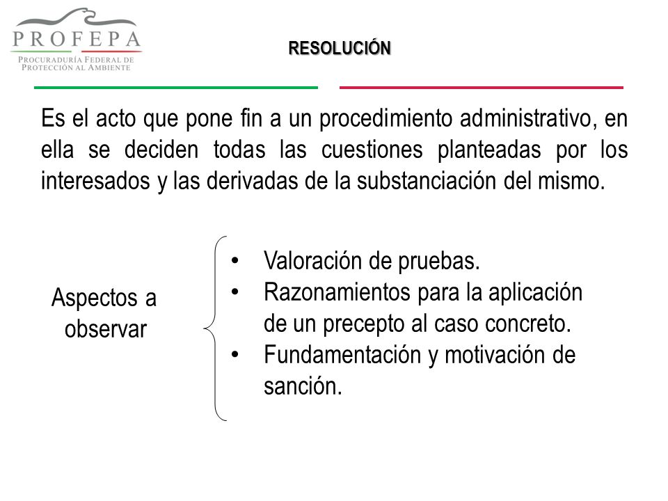 Razonamientos para la aplicación de un precepto al caso concreto.