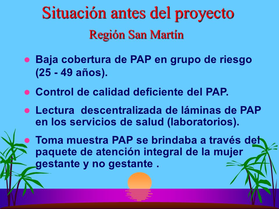 Situación antes del proyecto Región San Martín