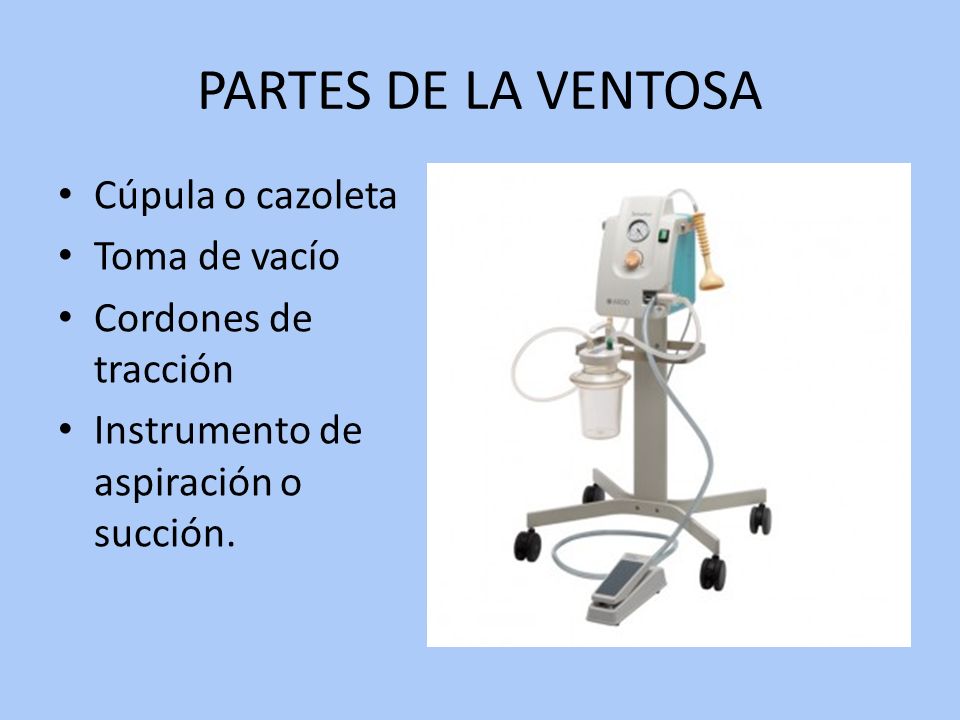 PARTES DE LA VENTOSA Cúpula o cazoleta Toma de vacío